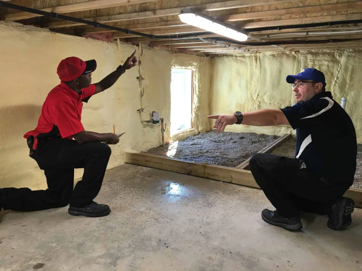 Professional restoration inspection